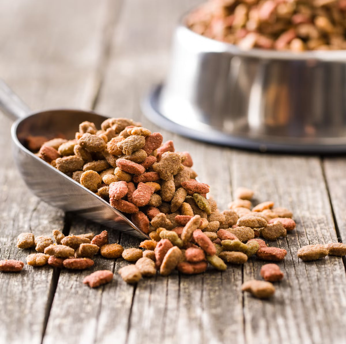 Dry Food